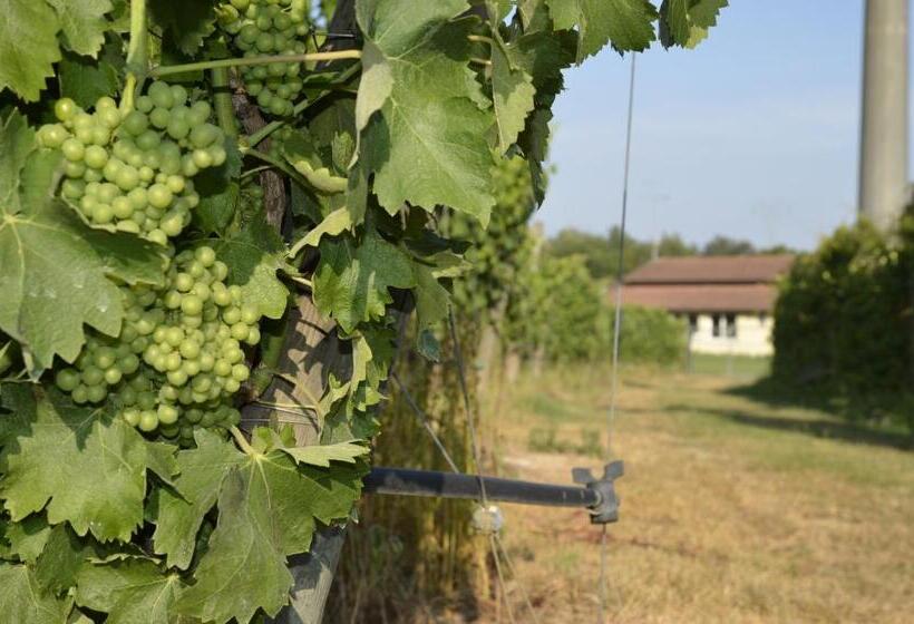 乡村酒店  Agriturismo Corte Ambrosio