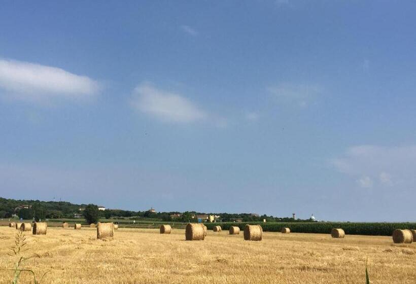 田舎風ホテル Agriturismo Villa Gaia