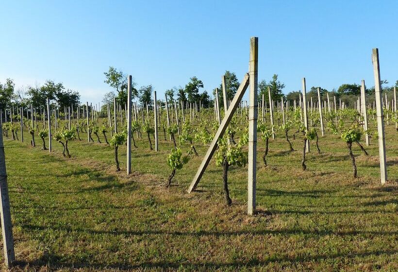 בית מלון כפרי Arriga Alta