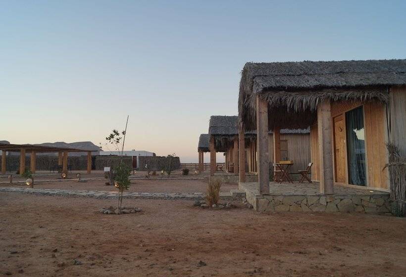 هتل Sama Ras Al Jinz Resort