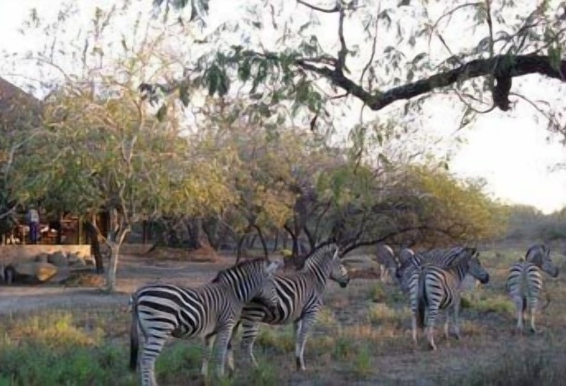 ホテル Zaganaga Kruger Lodge