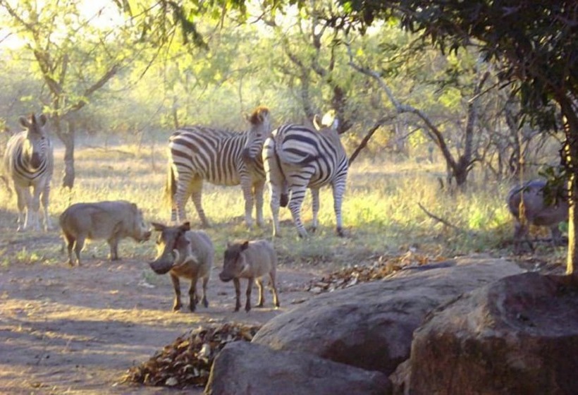 ホテル Zaganaga Kruger Lodge
