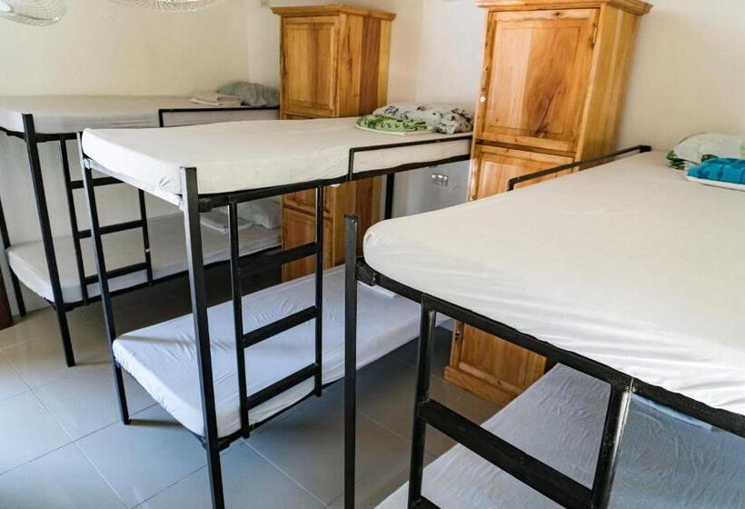 Island Girl Bed And Breakfast