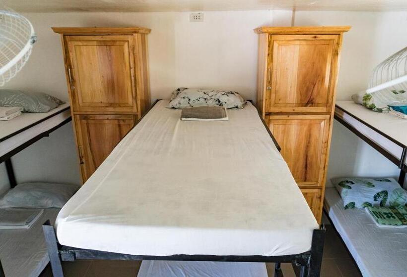 Island Girl Bed And Breakfast