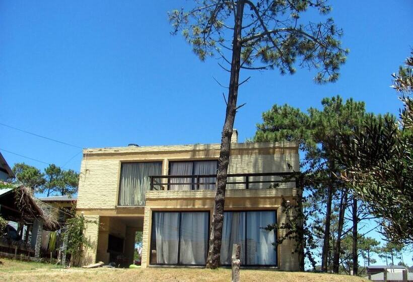 پانسیون Ariana