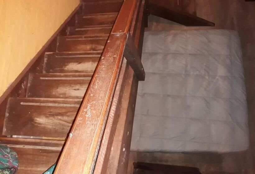 پانسیون Ariana