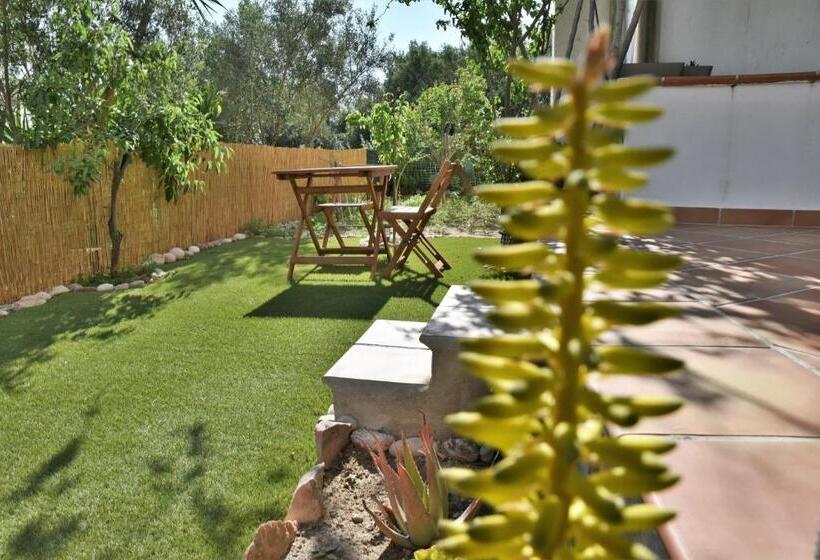 بنسيون Avra Milos