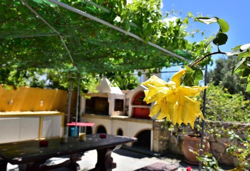 بنسيون Avra Milos