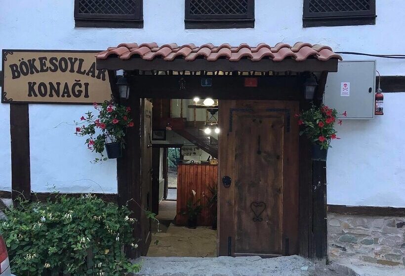 بنسيون Bokesoylar Konagi