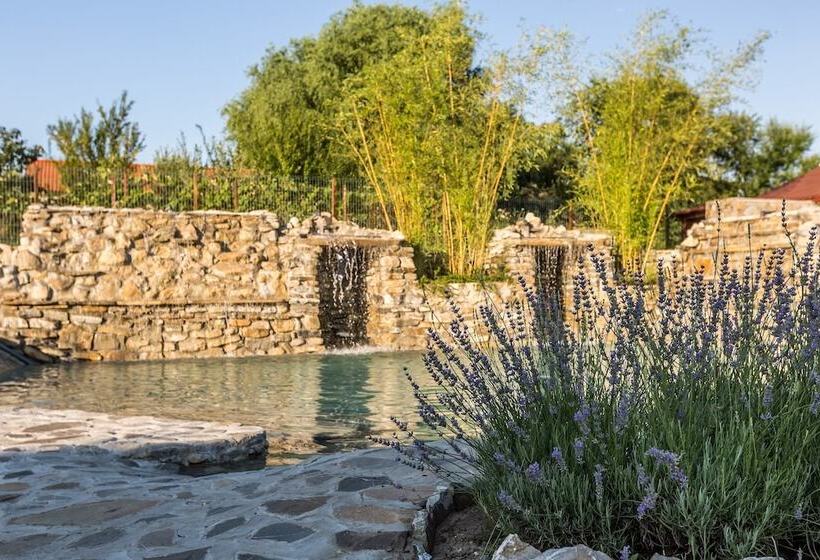 بنسيون Country Spa Retreat