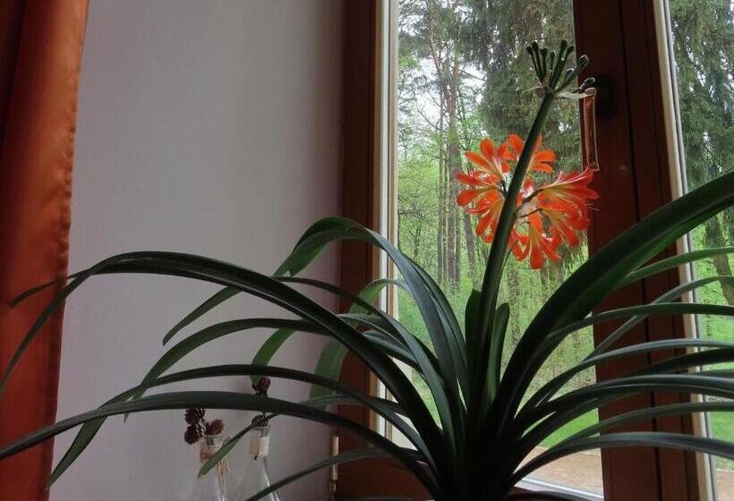 ペンション Dobry Zakątek Dom Rekolekcyjny