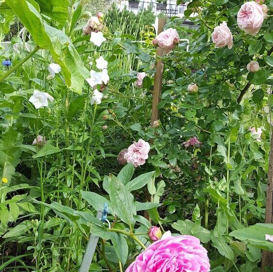 膳宿费 Les Iris Chambres D’hôte