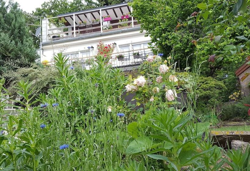 Пансион Les Iris Chambres D’hôte