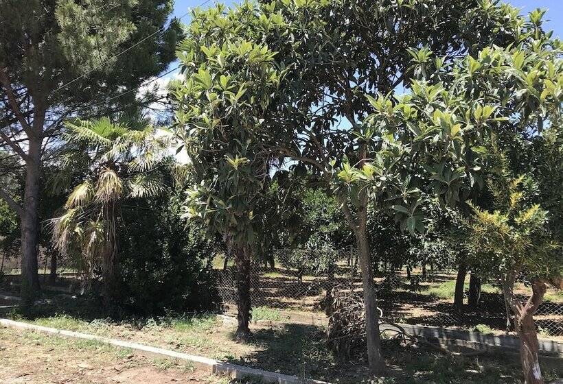 פנסיון Taygetos