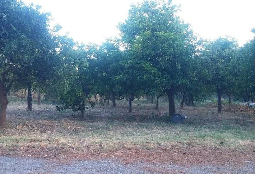 פנסיון Taygetos