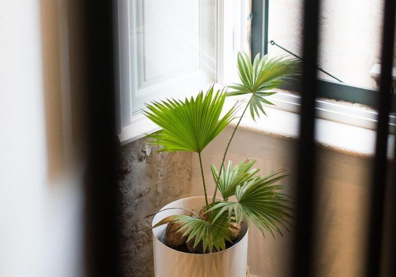 بنسيون Villa 5db