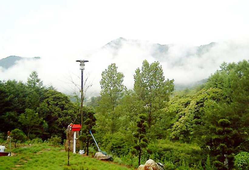 Starlight Hill Pension