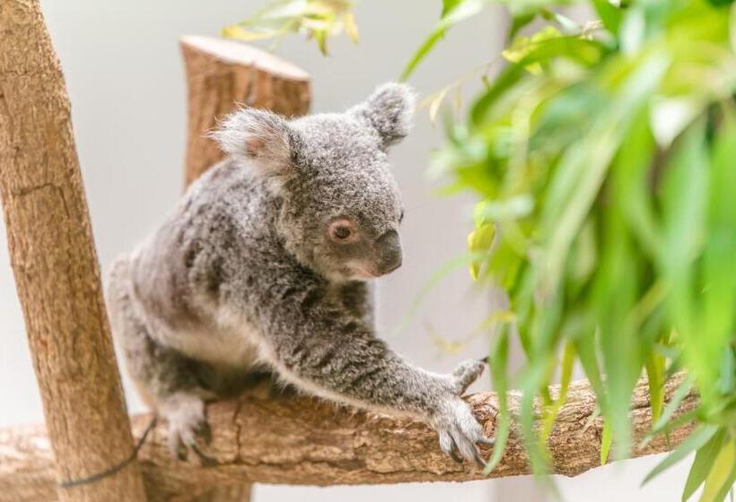 Sun Hotel Kokubu Kagoshima