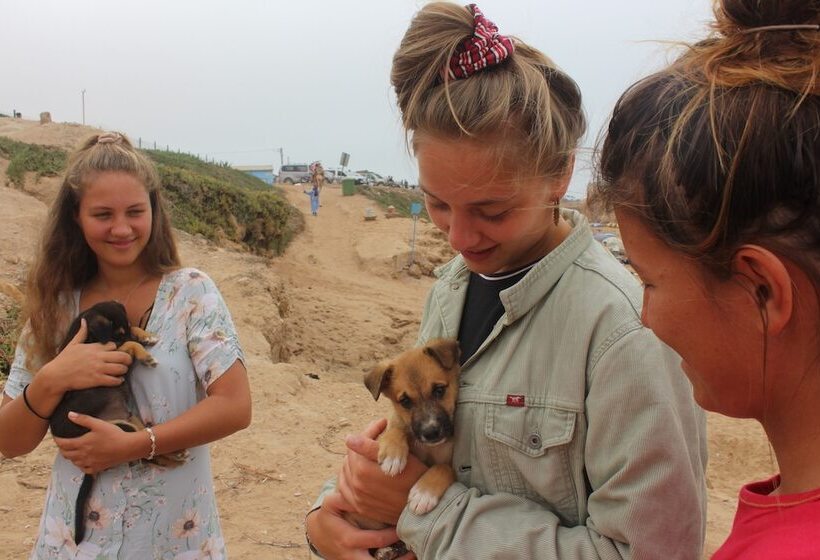 Surf Safari Morocco   Hostel