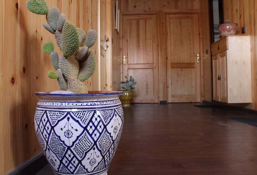 Surf Safari Morocco   Hostel