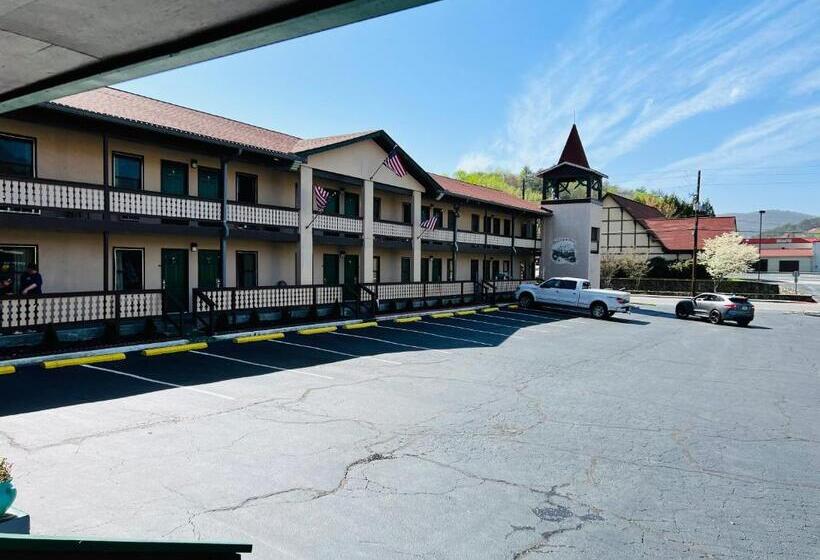 فندق Alpine Valley Inn