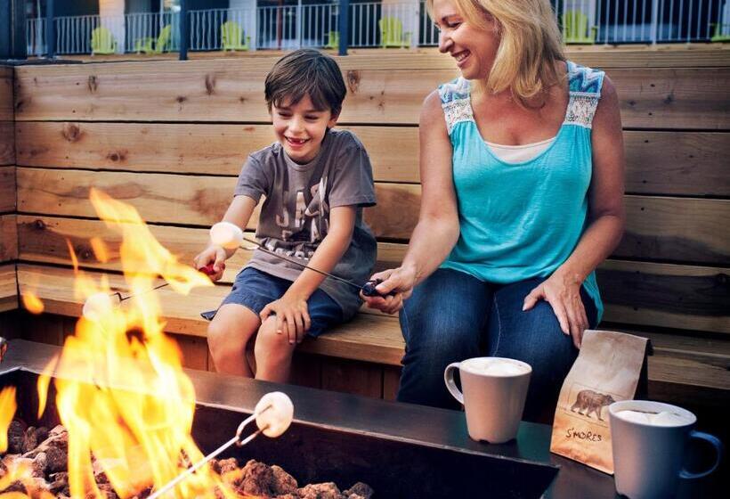 酒店 Basecamp Boulder