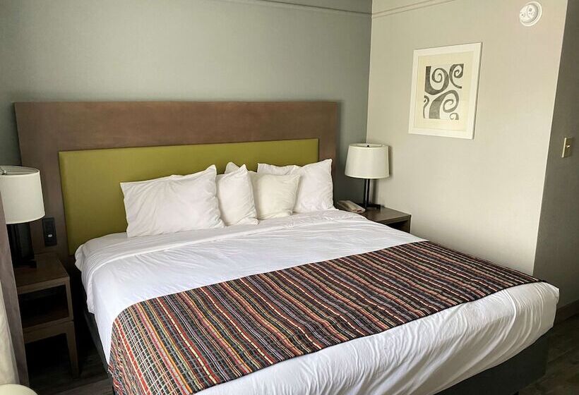 בית מלון כפרי Best Western Kennesaw