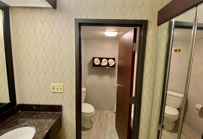 בית מלון כפרי Best Western Plus Houston Energy Corridor