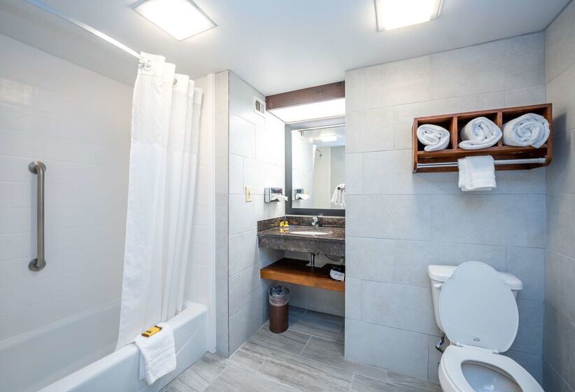 בית מלון כפרי Best Western Plus Houston Energy Corridor