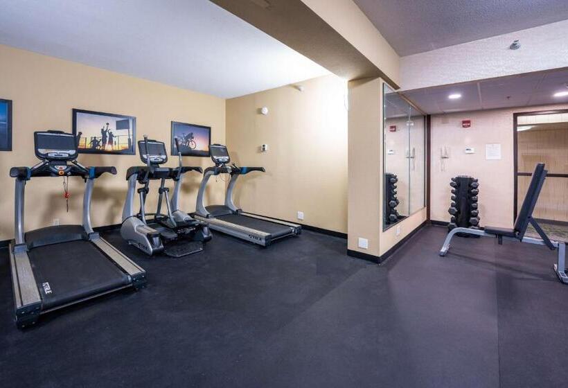 בית מלון כפרי Best Western Plus Houston Energy Corridor