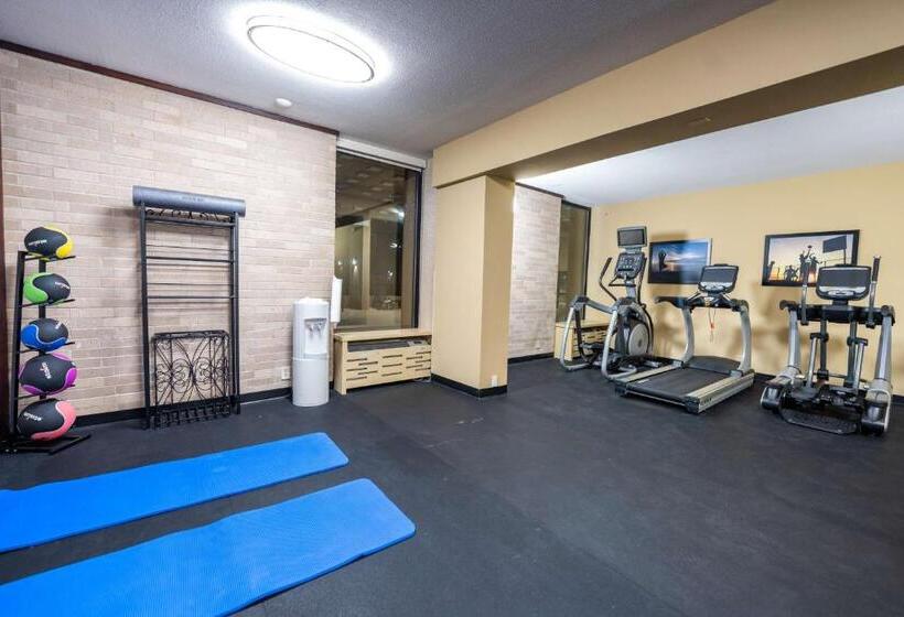 בית מלון כפרי Best Western Plus Houston Energy Corridor