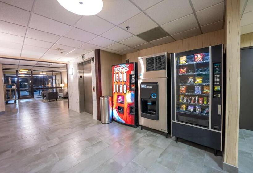 בית מלון כפרי Best Western Plus Houston Energy Corridor