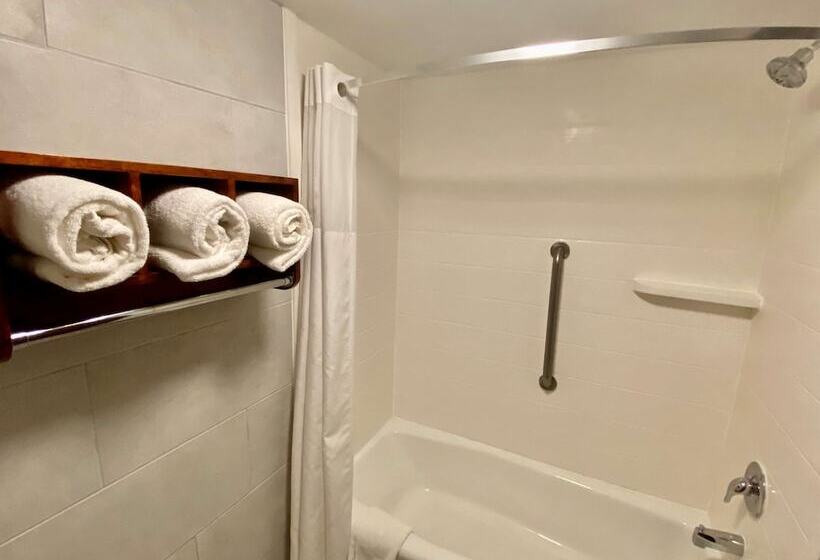 בית מלון כפרי Best Western Plus Houston Energy Corridor