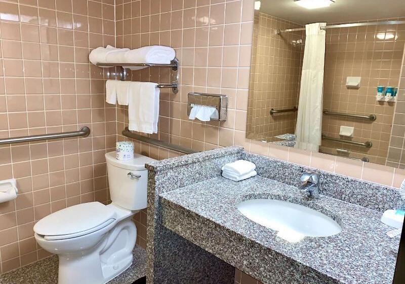 فندق Best Western Plus St. Louis Westwestport