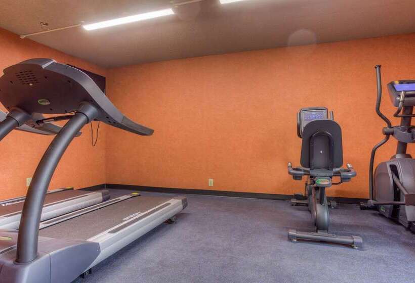 호텔 Comfort Inn & Suites Evansville Airport