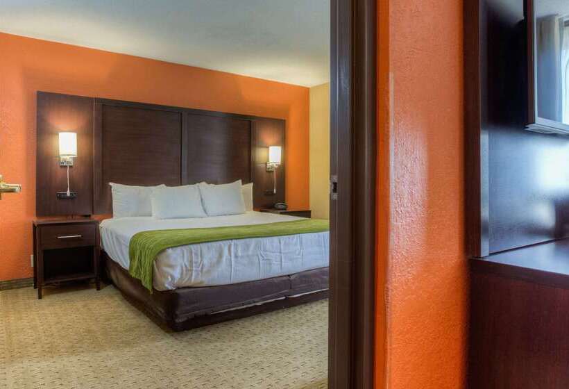 호텔 Comfort Inn & Suites Evansville Airport