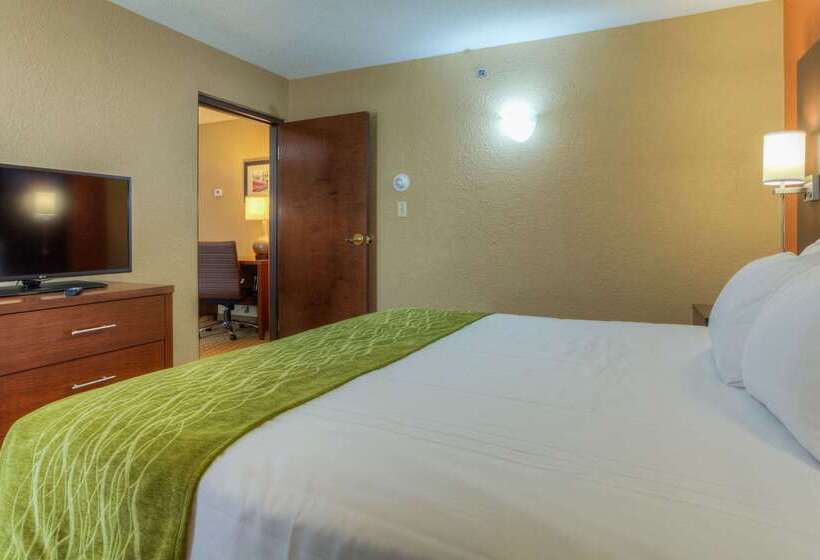 호텔 Comfort Inn & Suites Evansville Airport