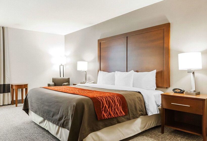 בית מלון כפרי Comfort Inn Denver East