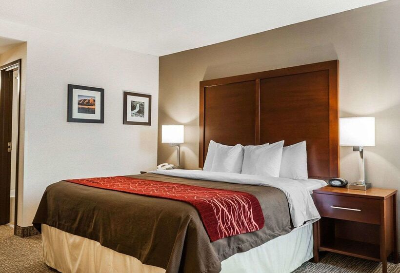בית מלון כפרי Comfort Inn Denver East