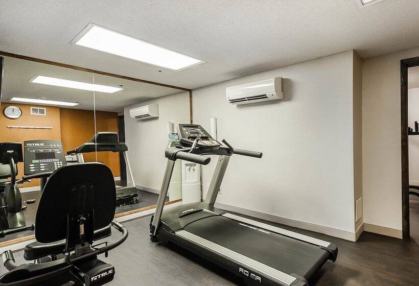 בית מלון כפרי Comfort Inn Denver East