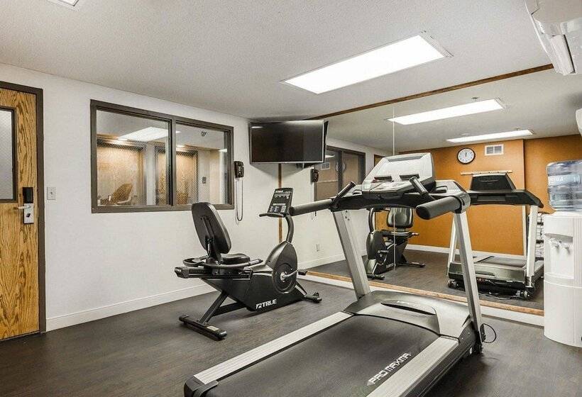 בית מלון כפרי Comfort Inn Denver East