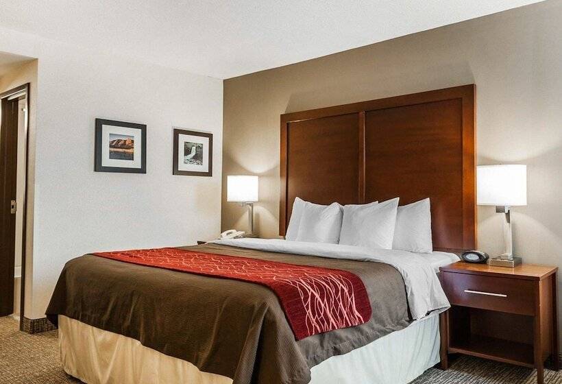 בית מלון כפרי Comfort Inn Denver East