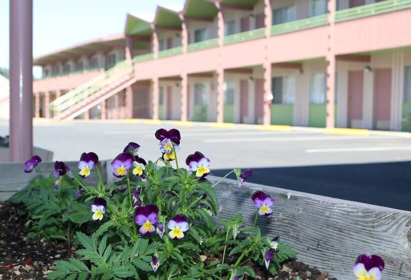 בית מלון כפרי Dreamers Lodge