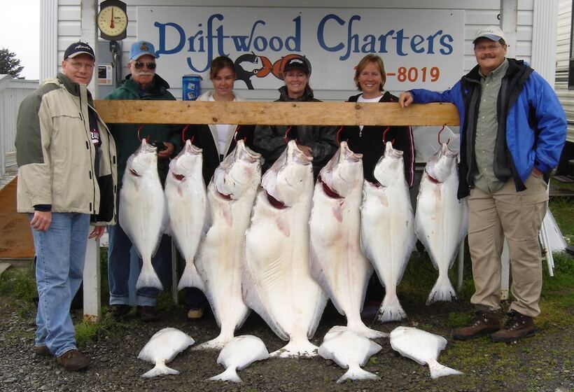 فندق Driftwood Inn