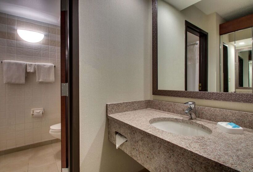 בית מלון כפרי Drury Inn & Suites Bowling Green