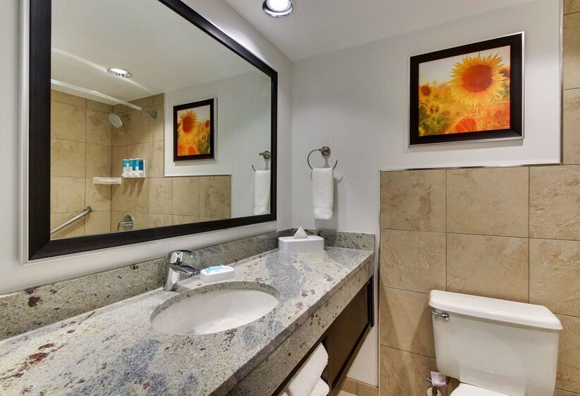 Отель Drury Inn & Suites Poplar Bluff