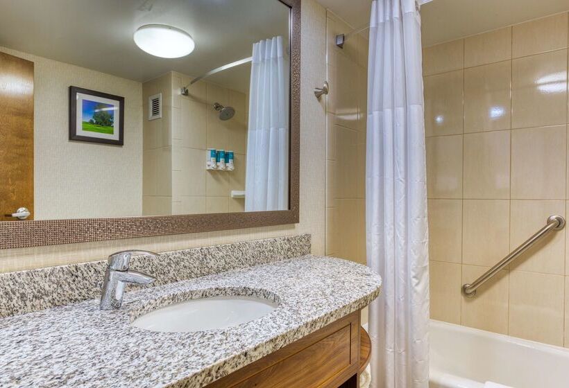 فندق Drury Inn And Suites St Louis Collinsville