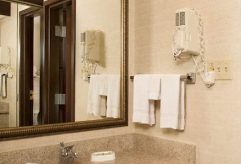 فندق Drury Inn And Suites St Louis Collinsville