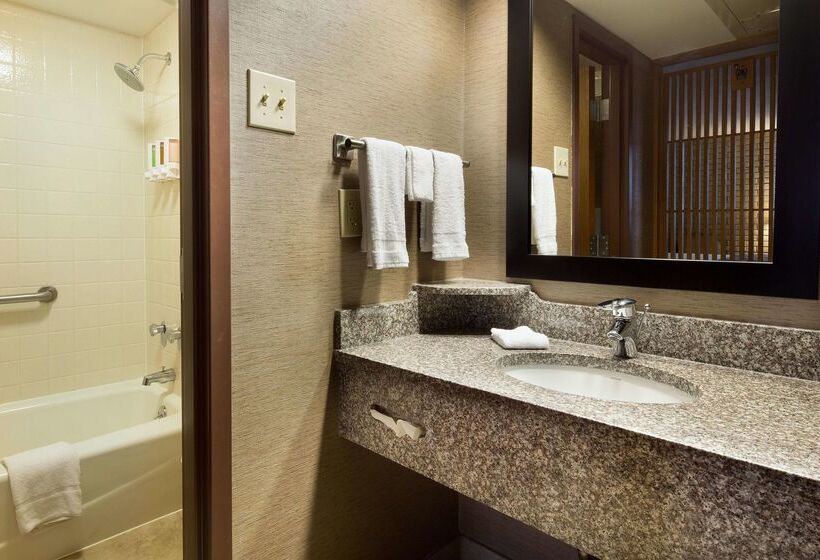 فندق Drury Inn Mobile