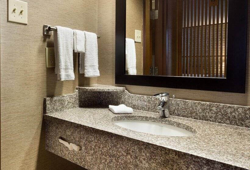 هتل Drury Inn Mobile